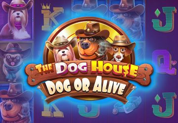 Razor Shark